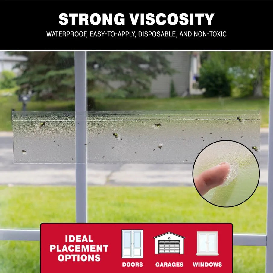 Pièges à bande de fenêtre transparents anti-insectes et mouches