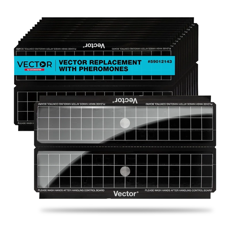 Black 907 Vector replacement glue boards
